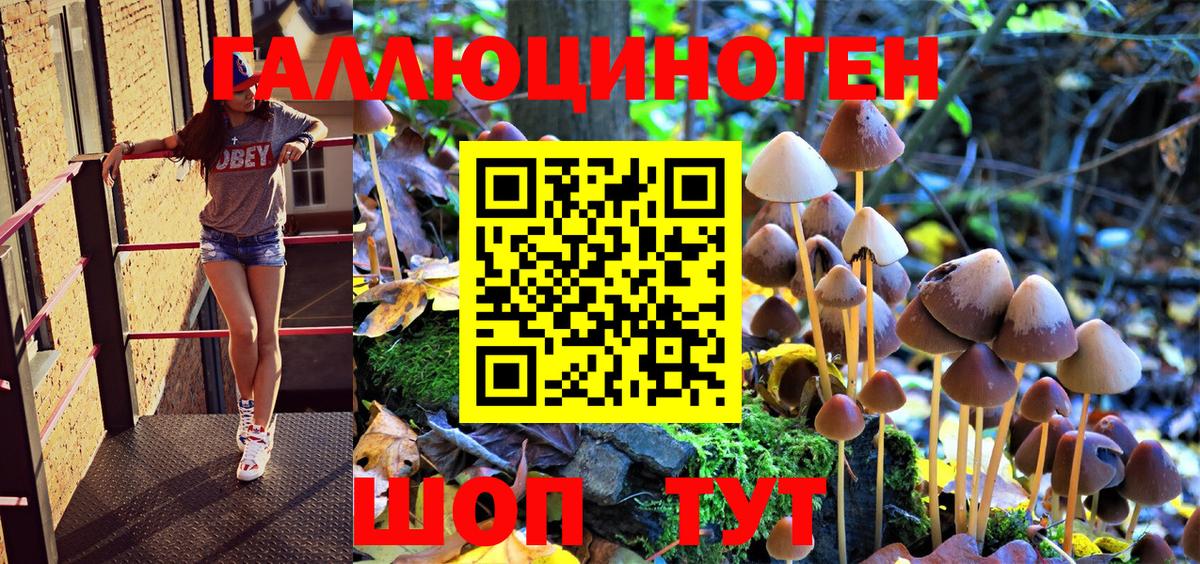 Галлюциногенные грибы Psilocybe  Псилоцибиновые грибы мухоморы  где найти наркотики  Кудрово  Вход с VPN 